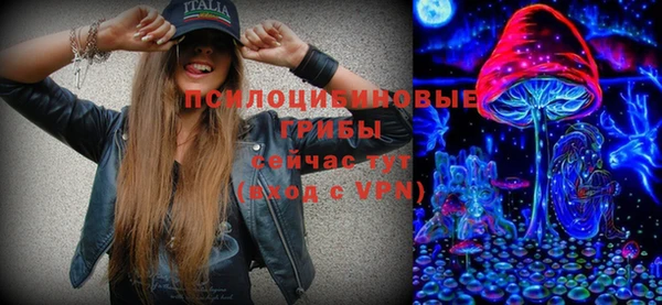 индика Куйбышев