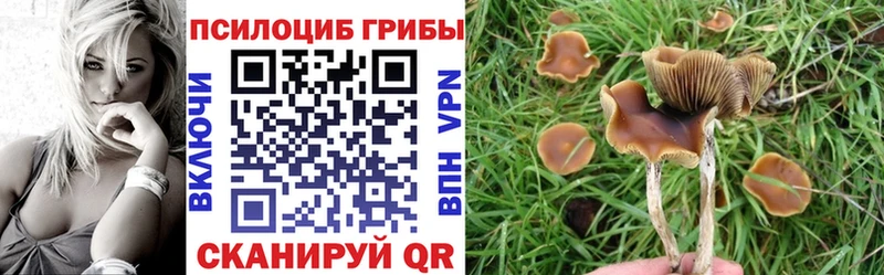 Псилоцибиновые грибы прущие грибы  Нягань 