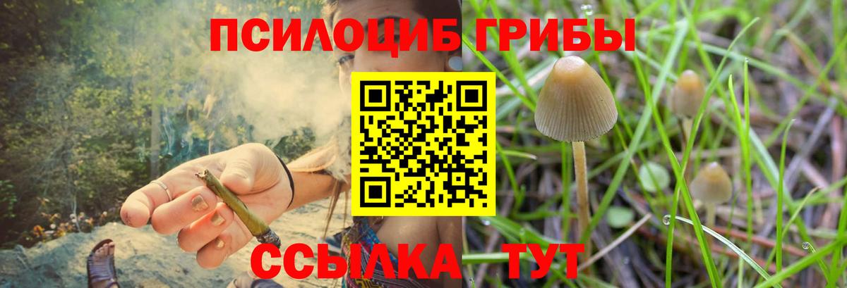 Галлюциногенные грибы GOLDEN TEACHER  Нягань  Галлюциногенные грибы Psilocybine cubensis 