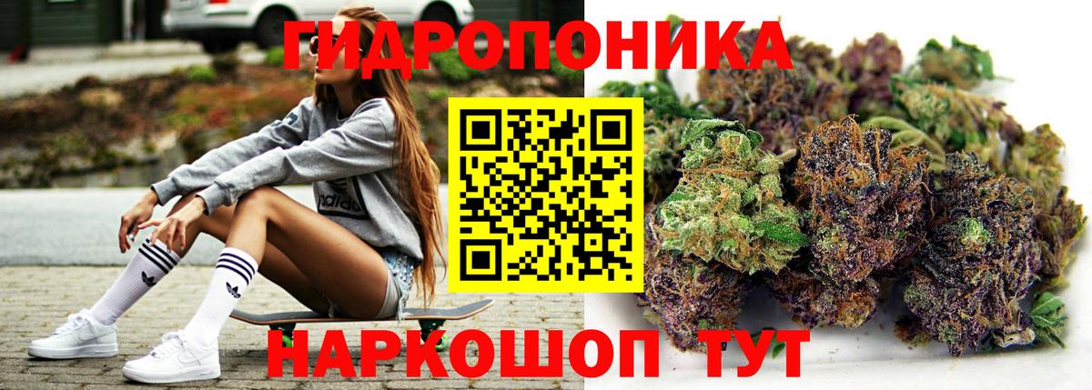 Нягань  МАРИХУАНА сатива  Каннабис планчик  Вход с VPN  Бошки марихуана White Widow 